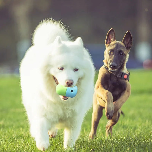 2 In 1 Dog Leakage Toy Silicone Ball - pettspy