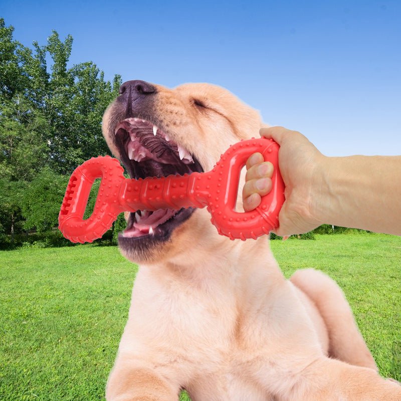 Active Dog Bone Toys with Pull Band & Teething Aid - pettspy