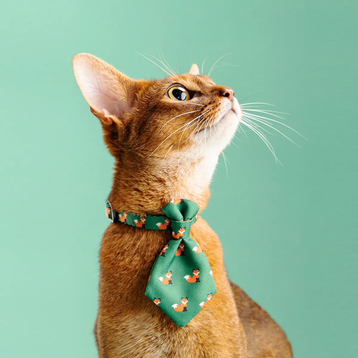 Adjustable Cat Gentleman Tie Collar - pettspy
