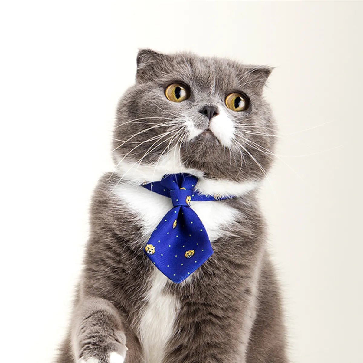 Adjustable Cat Gentleman Tie Collar - pettspy