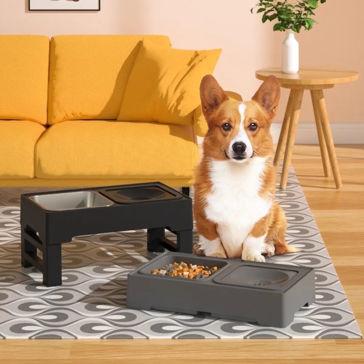 Adjustable Double Elevated Dog Bowls - pettspy