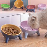 Beautiful Nordic Style Pet Bowl with Stand - pettspy