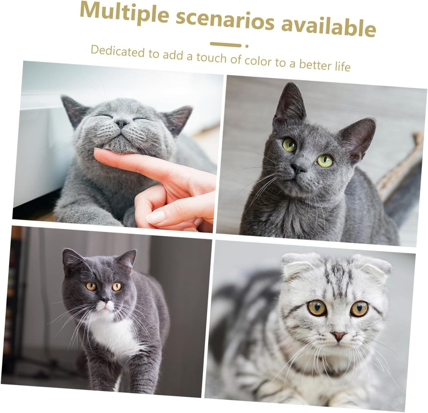 Cat Interactive Toys Mice Shape Kitten Toys - pettspy