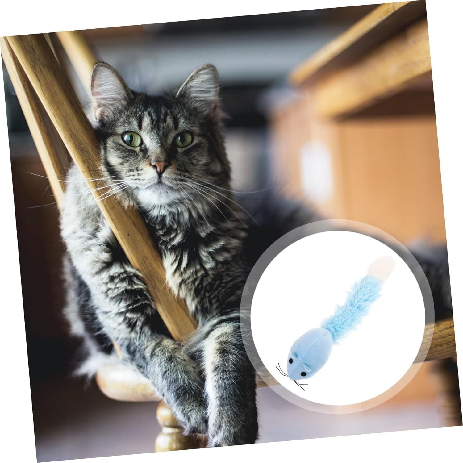 Cat Interactive Toys Mice Shape Kitten Toys - pettspy