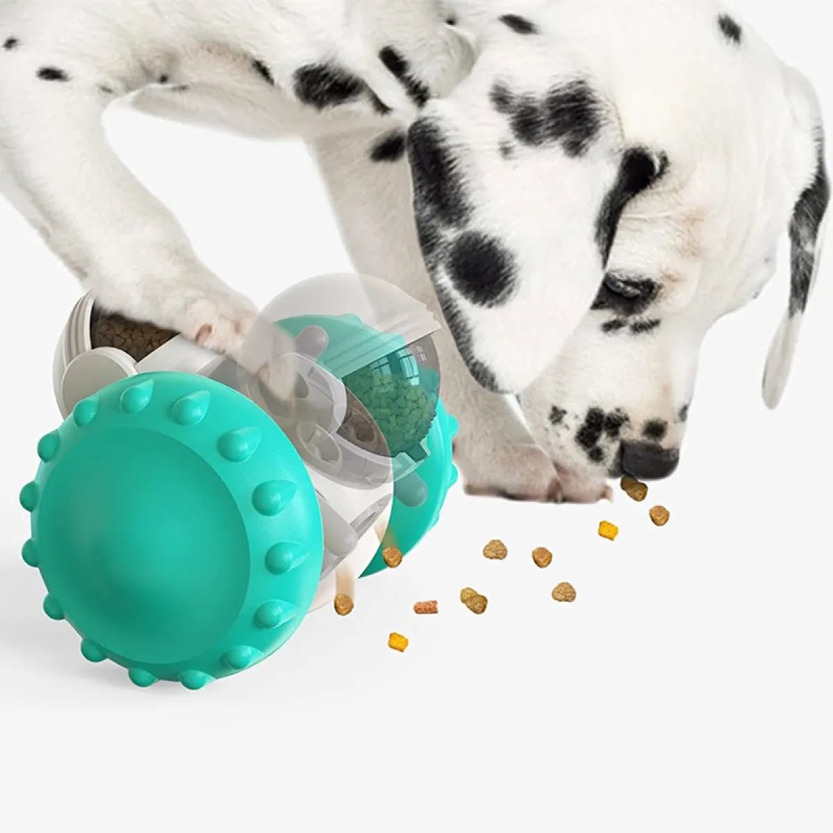 Creative Balance Car Pet Toy - pettspy