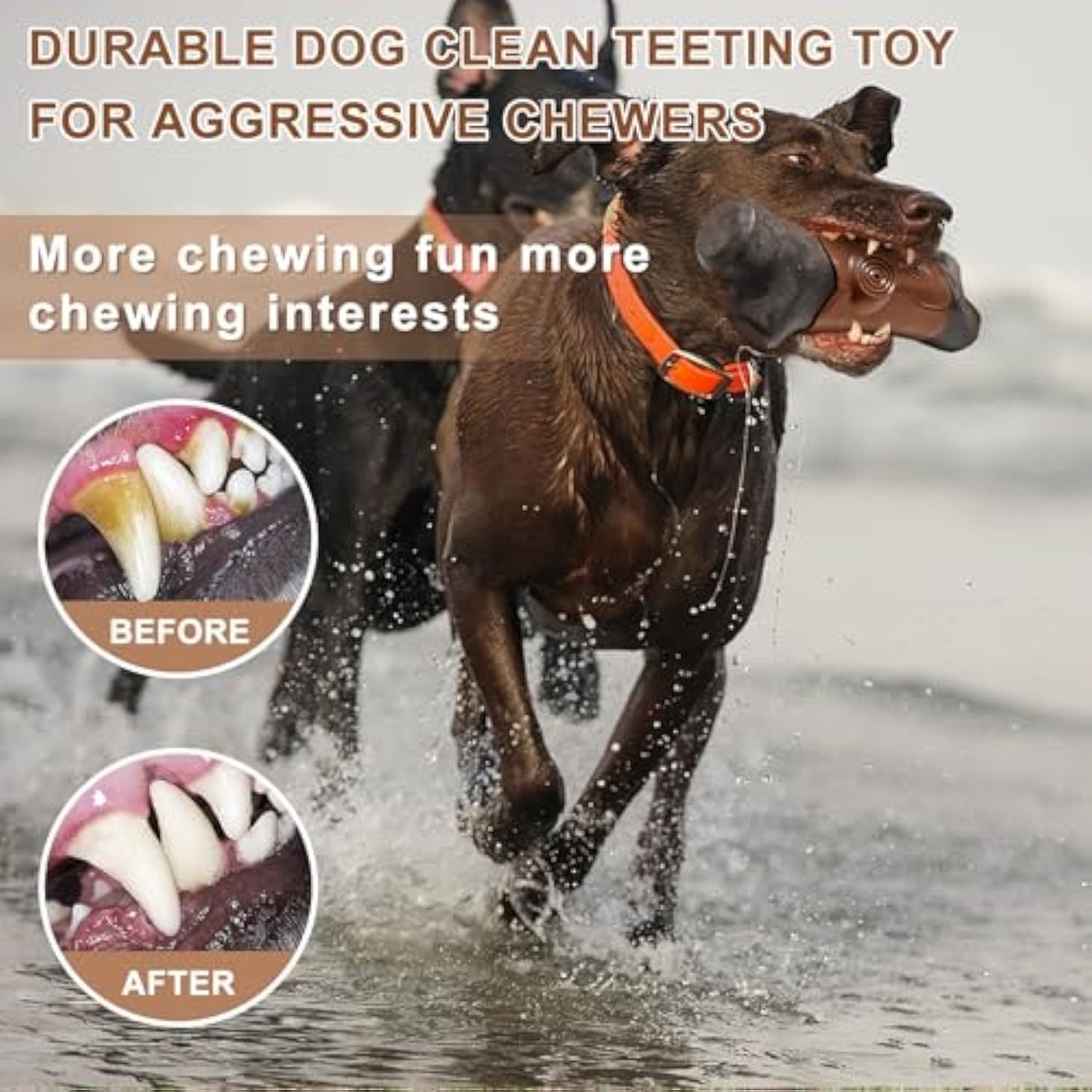 Durable Dog Toys for Aggressive Chewers - pettspy