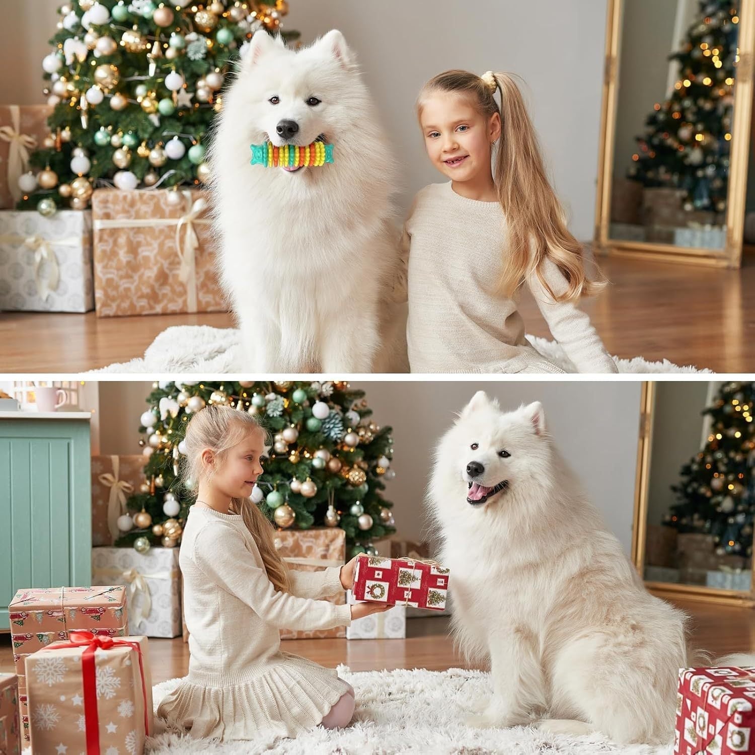 Durable Indestructible Dog Chew Toys for Aggressive Chewers - pettspy