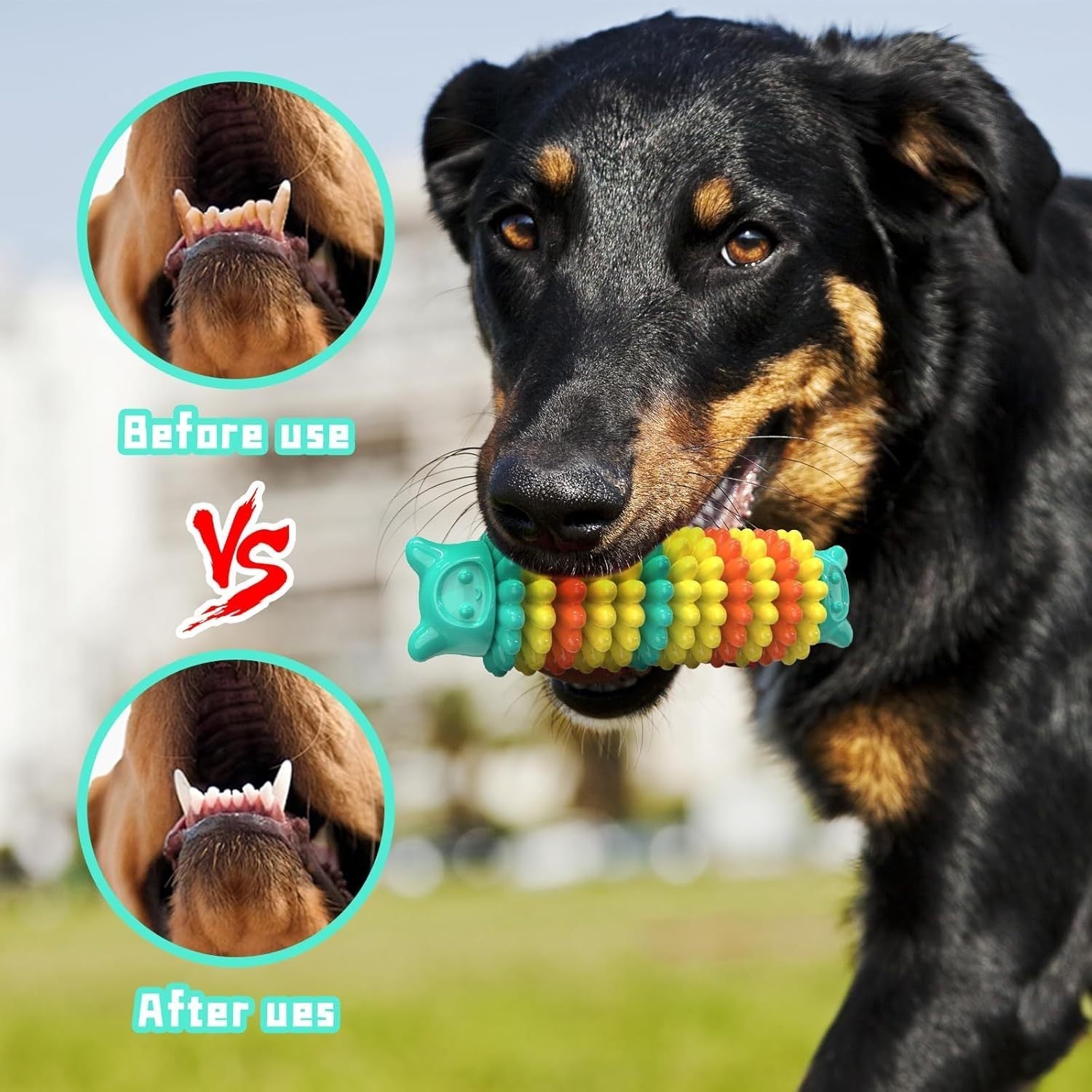 Durable Indestructible Dog Chew Toys for Aggressive Chewers - pettspy