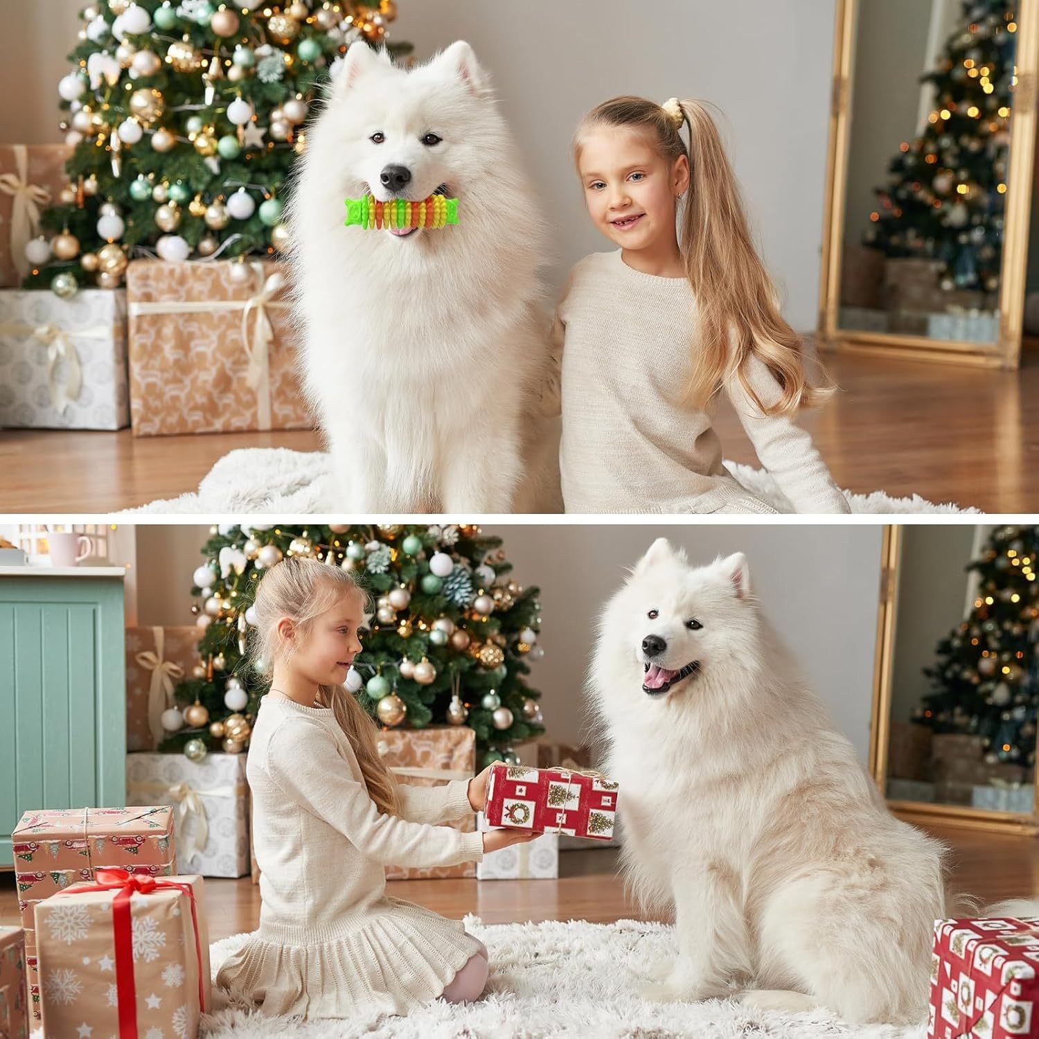 Durable Indestructible Dog Chew Toys for Aggressive Chewers - pettspy