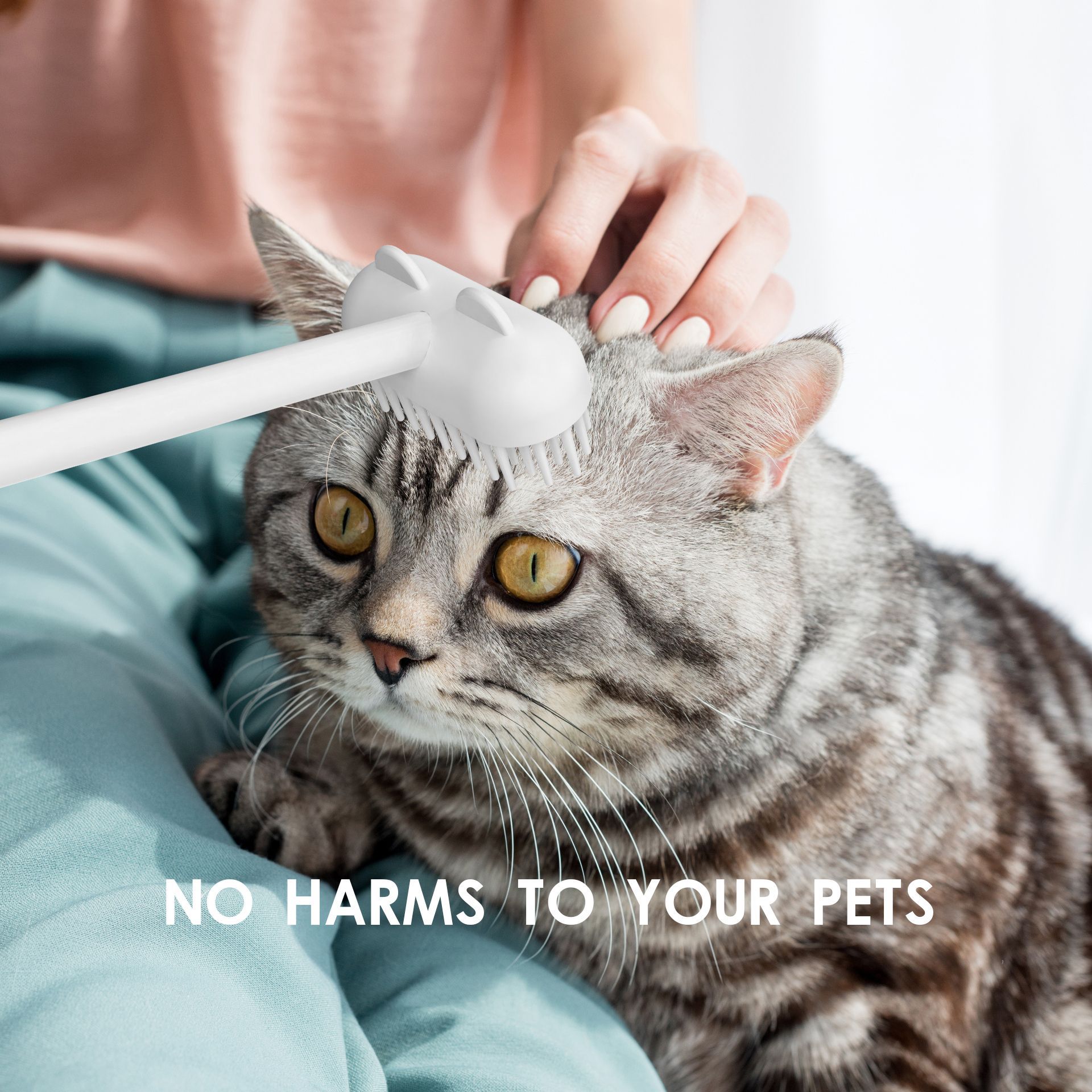 Funny Cat Comb Toy Sticker - pettspy