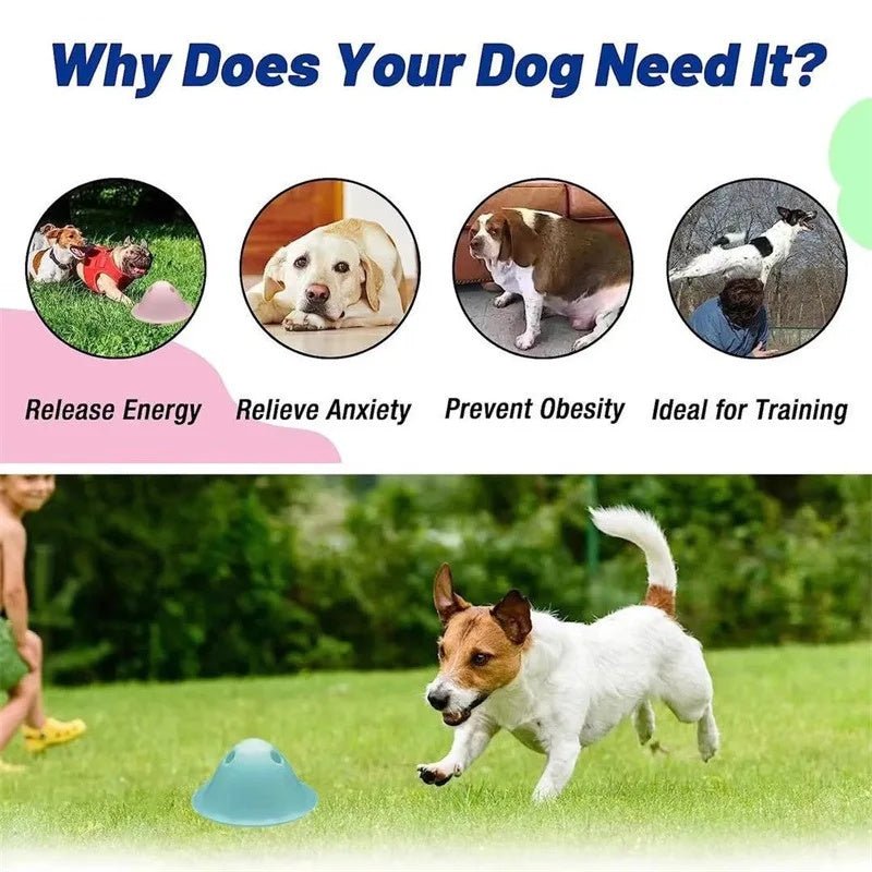 Interactive Chew Toys with Hidden Treats - pettspy