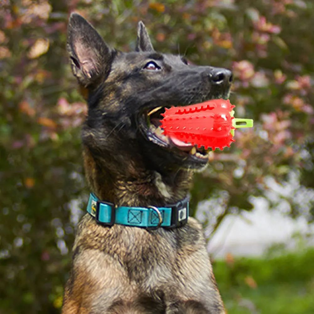 Interactive Dog Teething Chili Chewers Toy Interactive Toys Dog Toys - pettspy