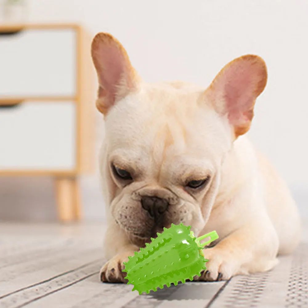 Interactive Dog Teething Chili Chewers Toy Interactive Toys Dog Toys - pettspy