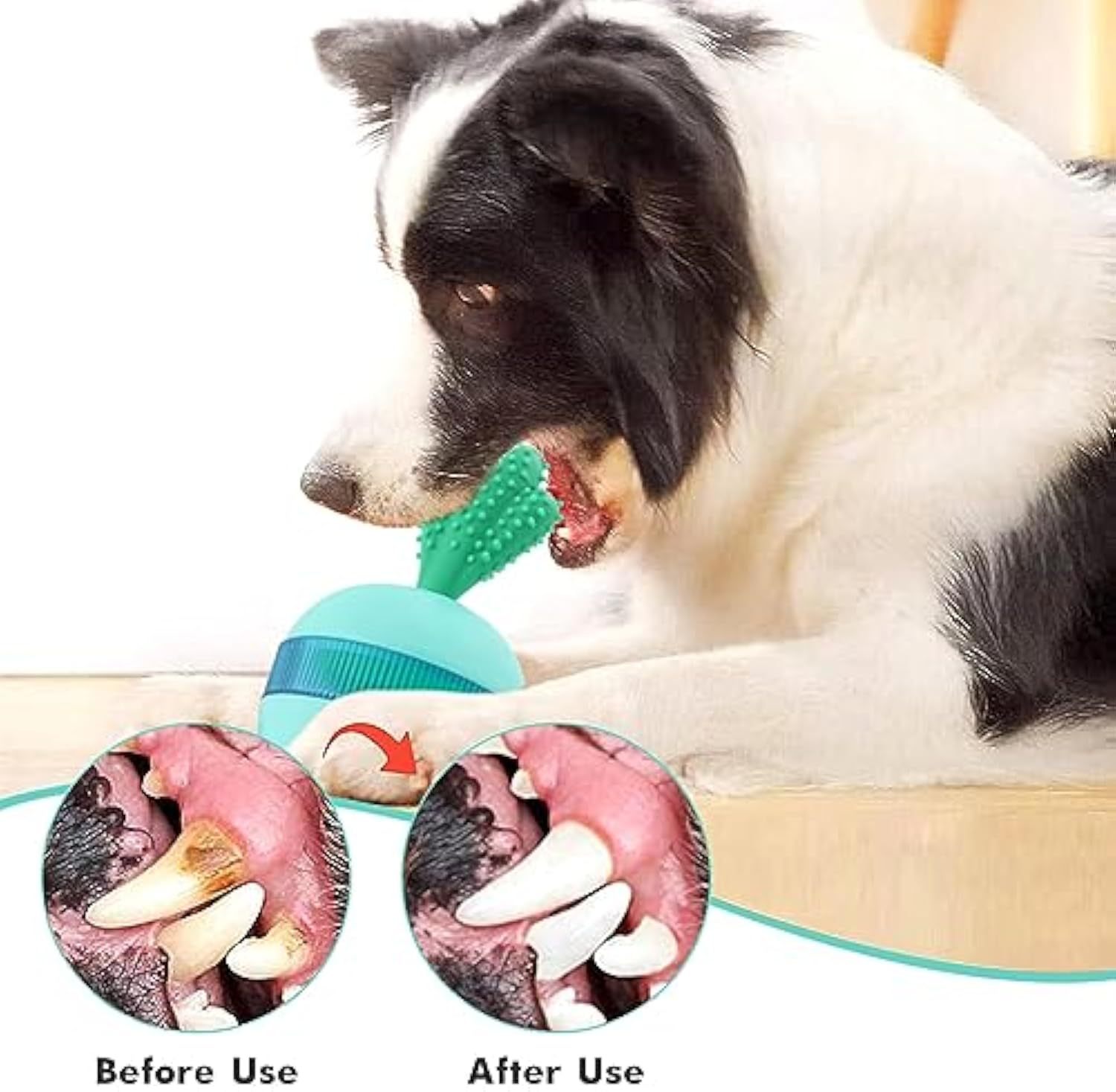 Interactive Puzzle Toys for Happy Dogs - pettspy