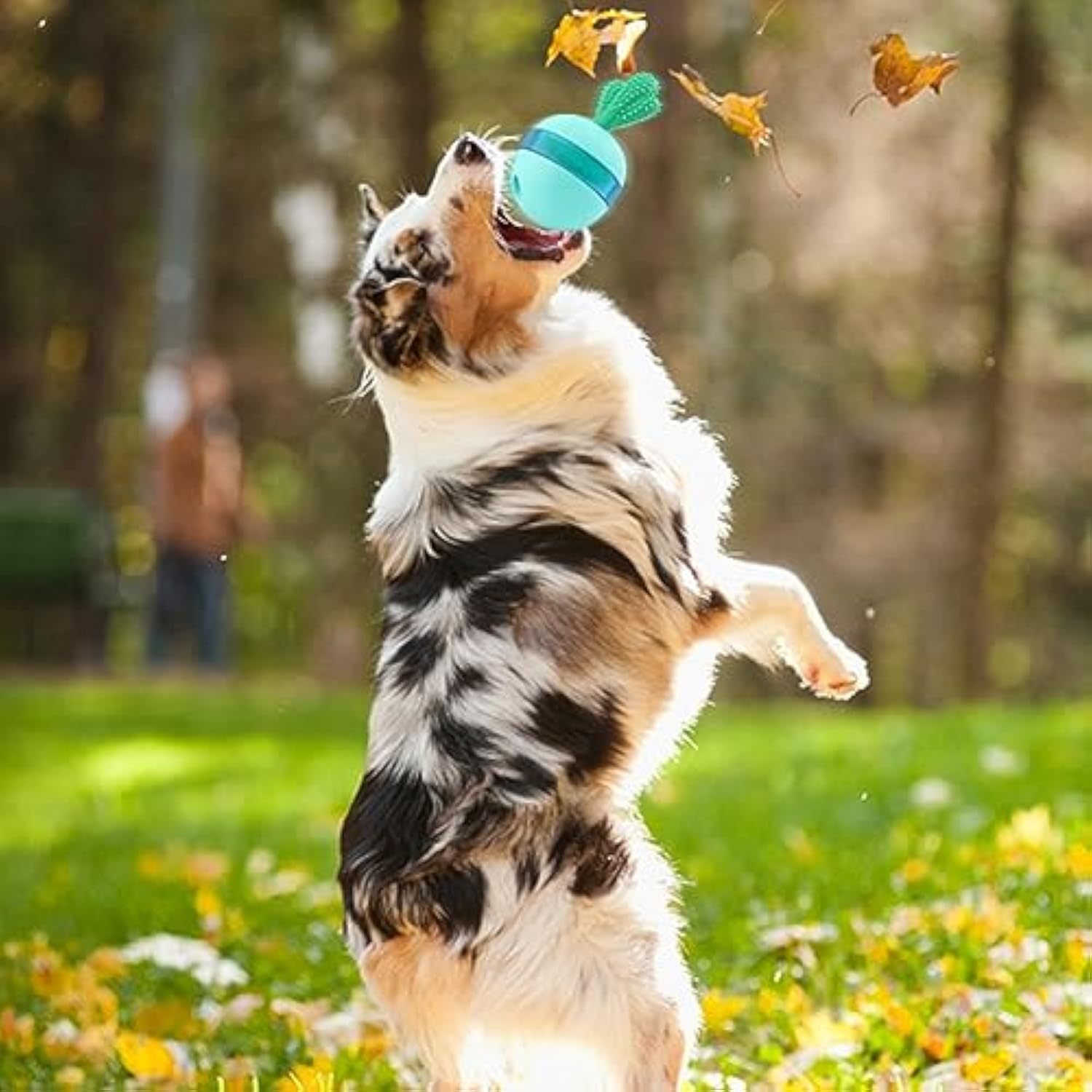 Interactive Puzzle Toys for Happy Dogs - pettspy