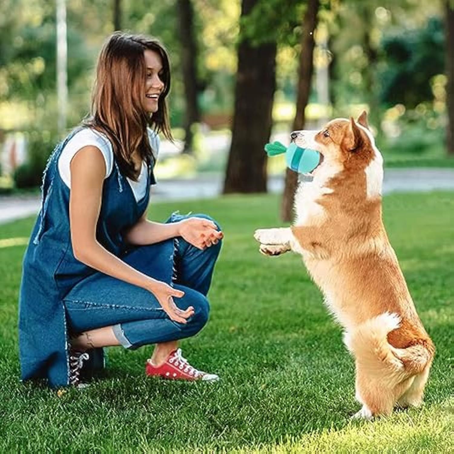 Interactive Puzzle Toys for Happy Dogs - pettspy