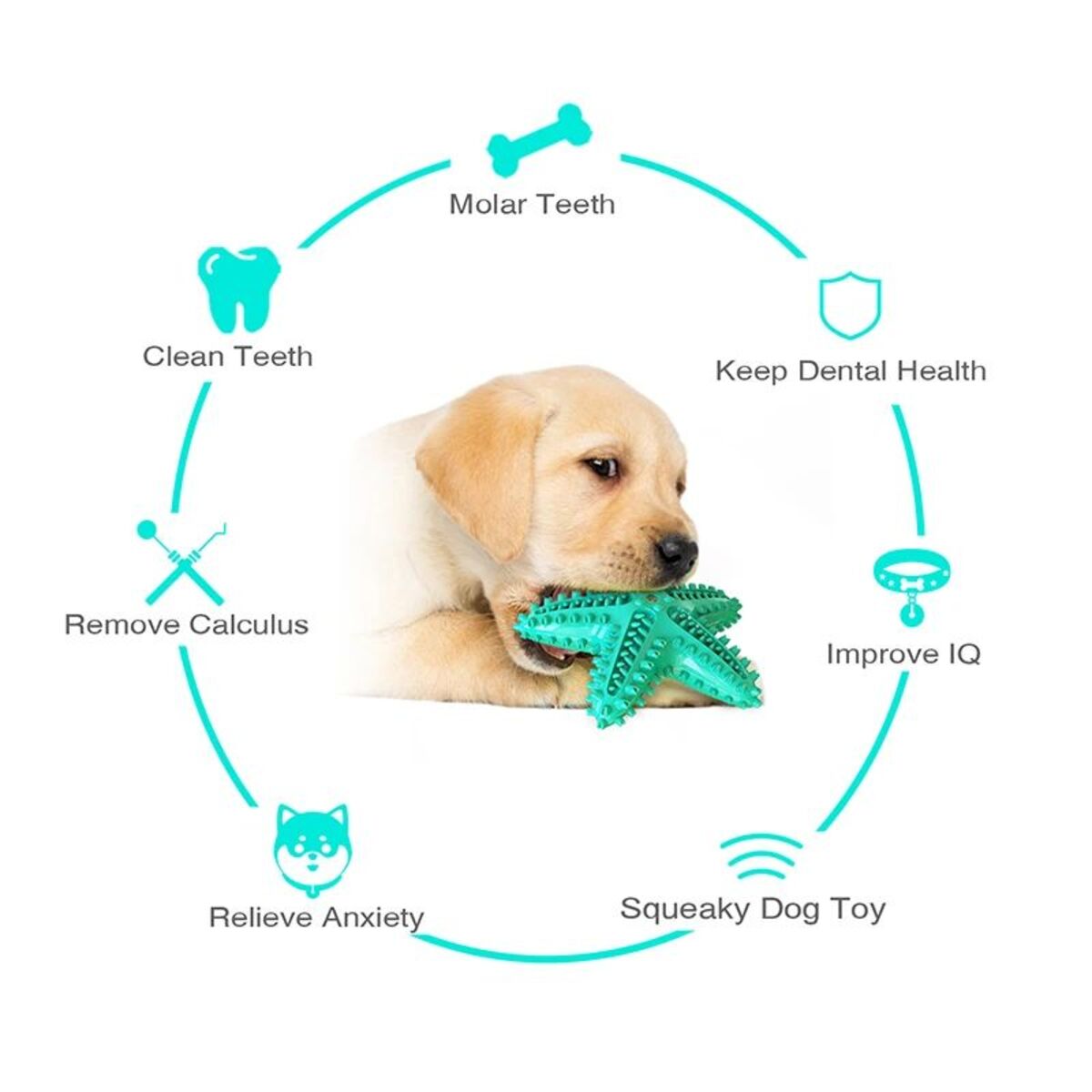 Interactive Squeaky Toys for Large Dogs - pettspy