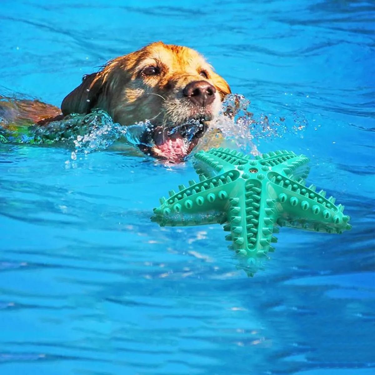 Interactive Squeaky Toys for Large Dogs - pettspy