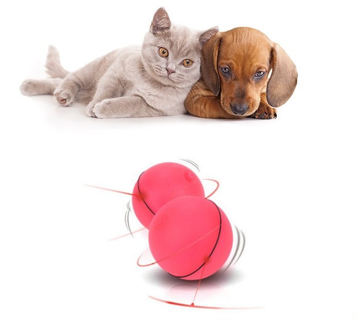 LED Laser Electronic Rolling Pet Funny Cat Toy Ball - pettspy
