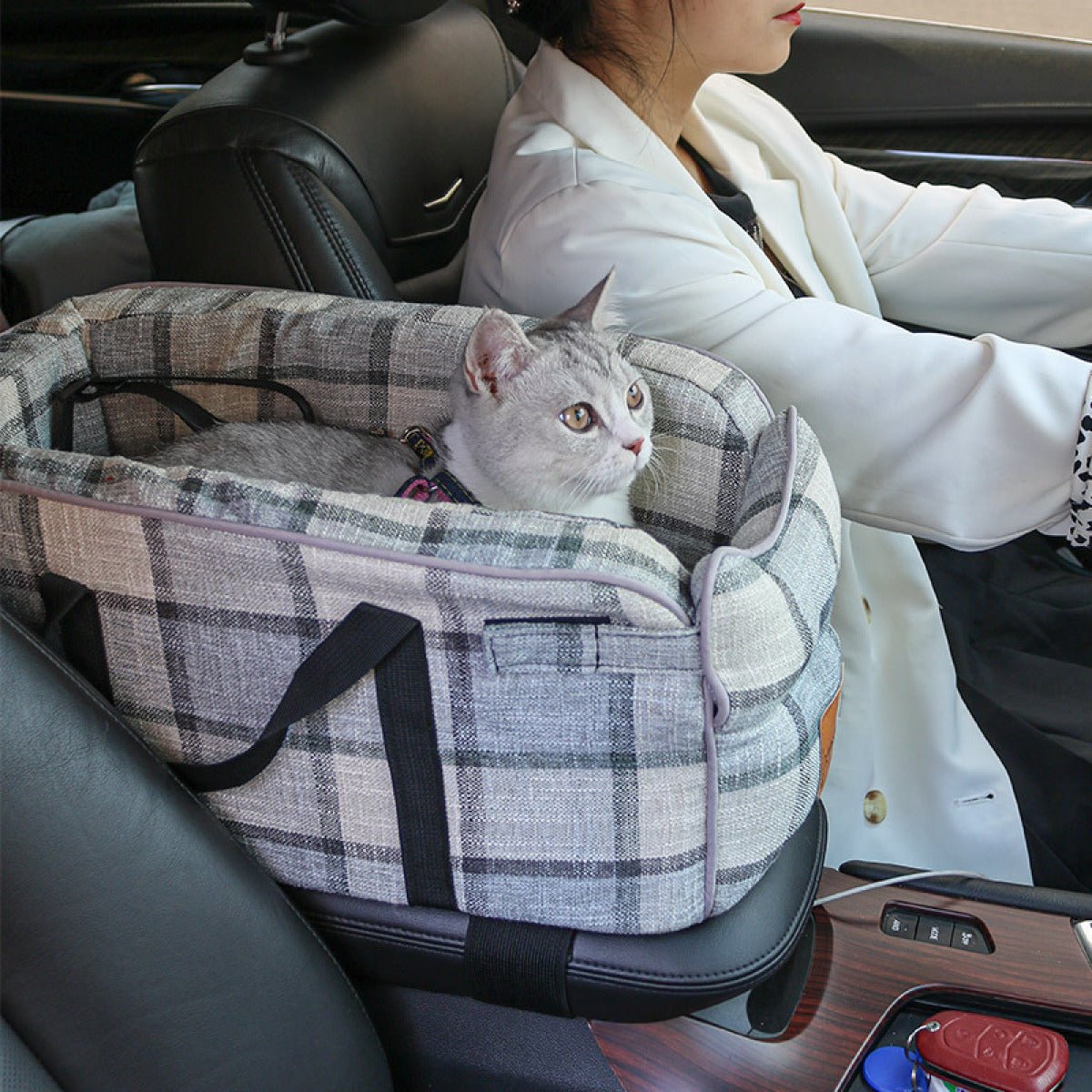 Pet Car Central Control Nest Cushion Seat Four Seasons Universal - pettspy
