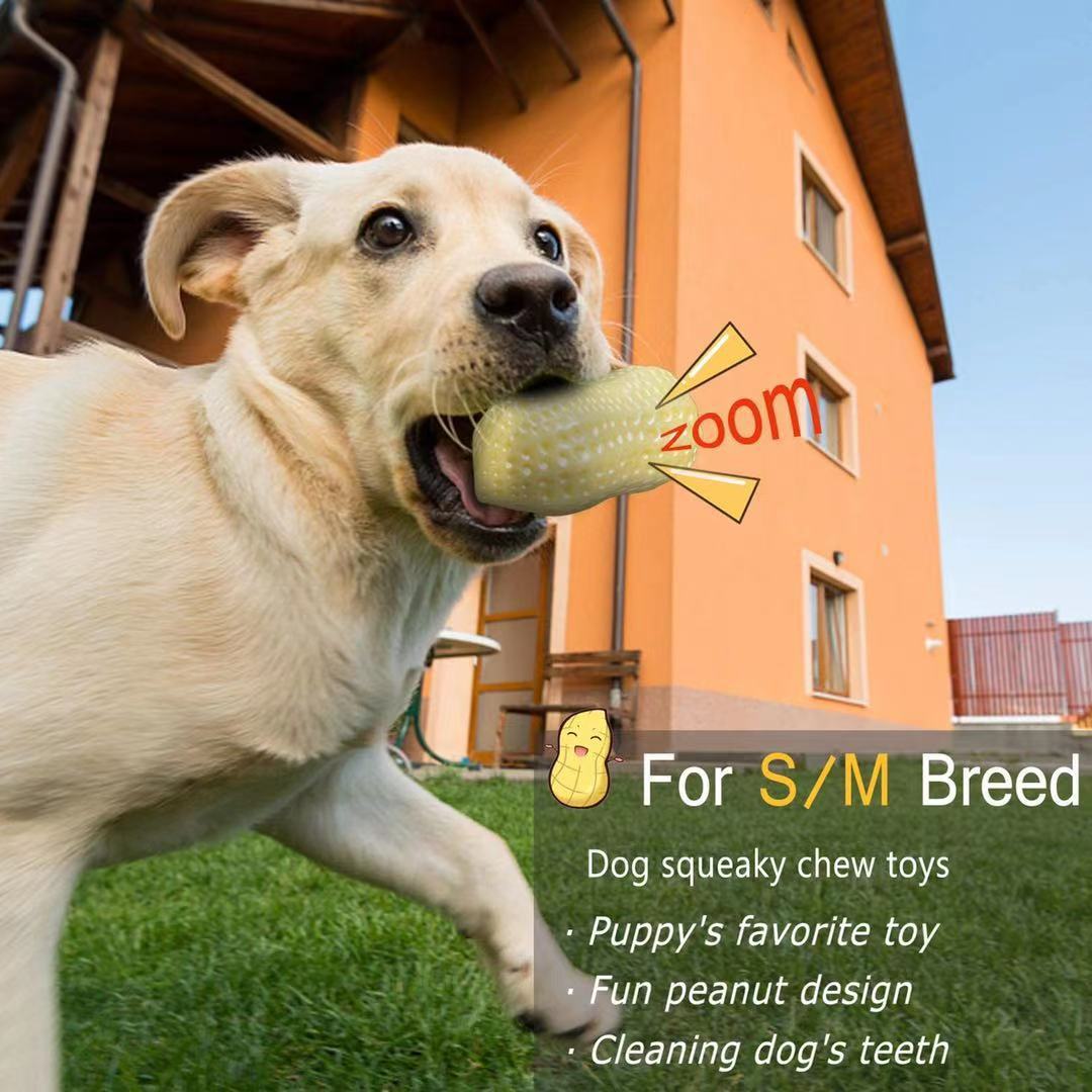 Squeaky Chew Toys for Small Dogs - pettspy