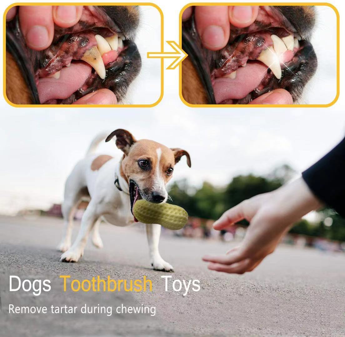 Squeaky Chew Toys for Small Dogs - pettspy