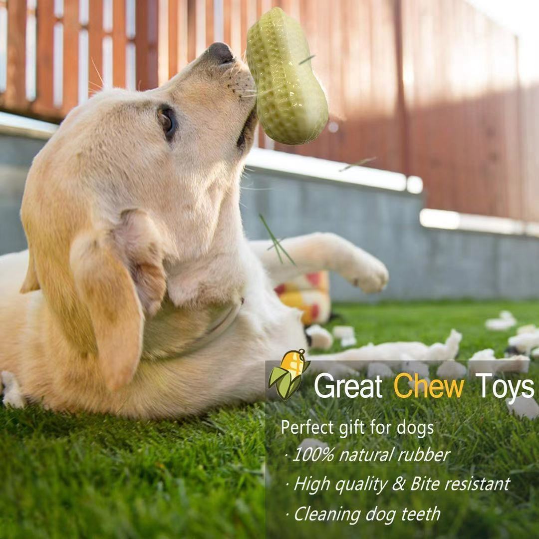 Squeaky Chew Toys for Small Dogs - pettspy