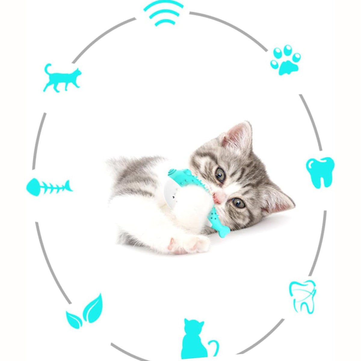 Teasing Cat Toothbrush Toy - pettspy