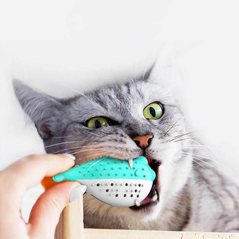 Teasing Cat Toothbrush Toy - pettspy