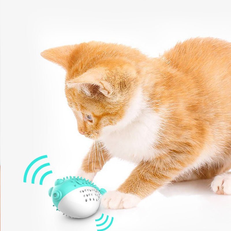 Teasing Cat Toothbrush Toy - pettspy