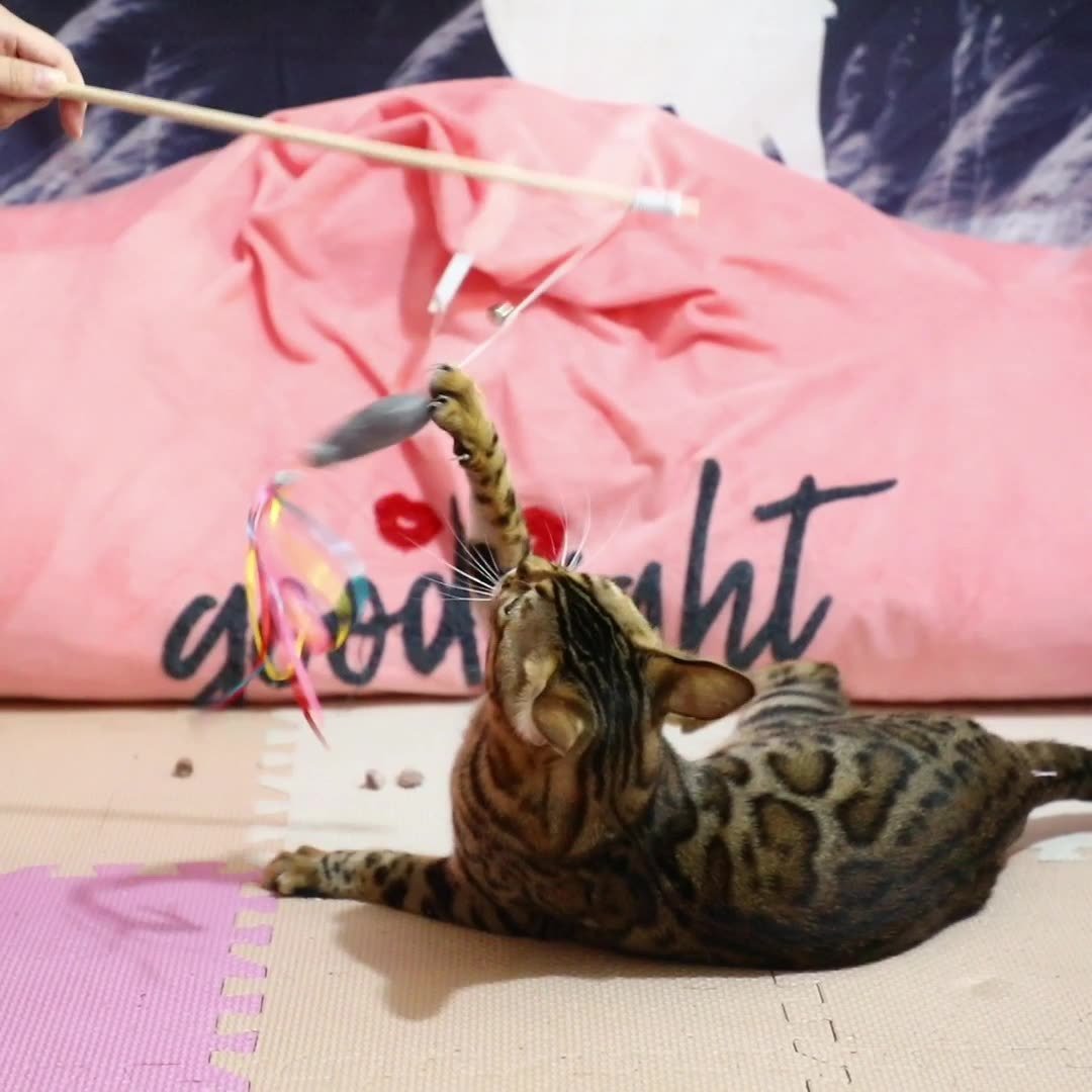 Wand Toys Interactive Cat Toys With Catnip Fish - pettspy